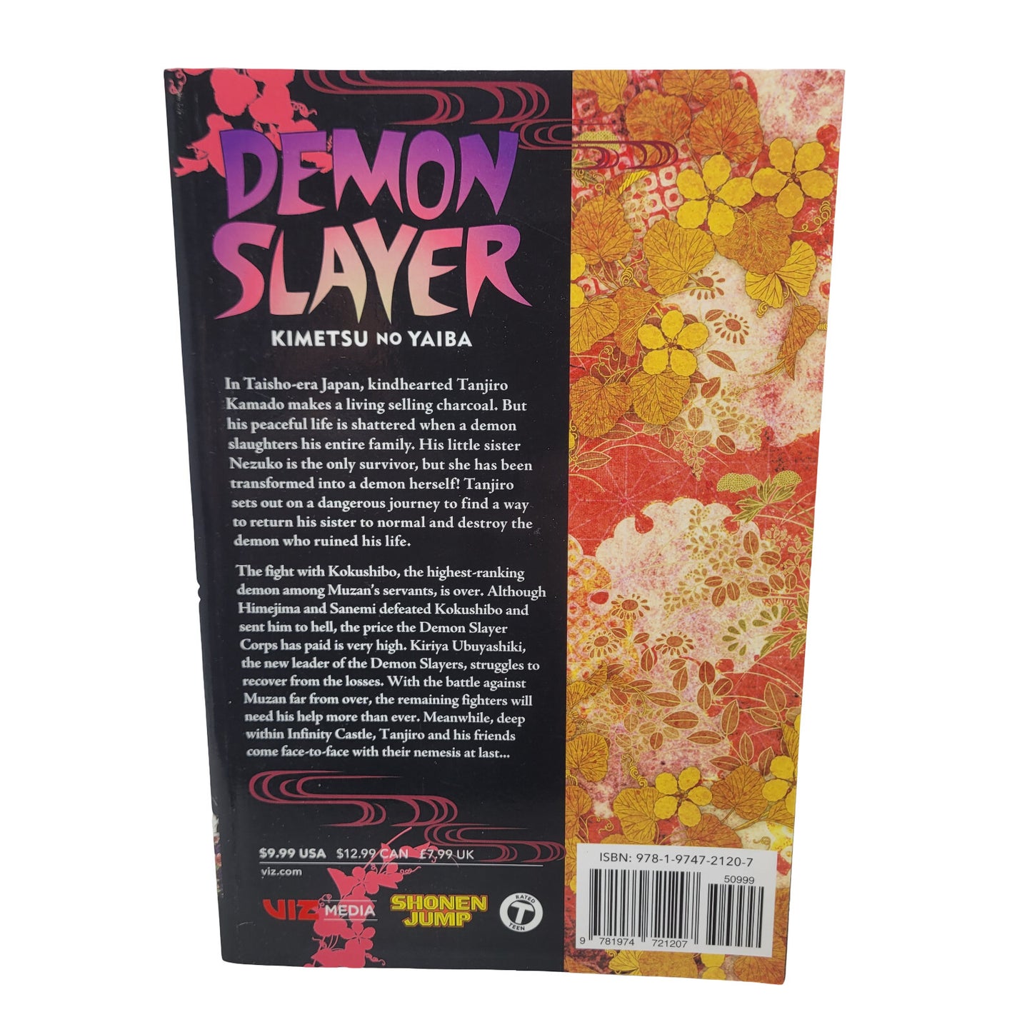 Demon Slayer: Kimetsu no Yaiba, Vol. 21: Volume 21 - Gotouge, Koyoharu