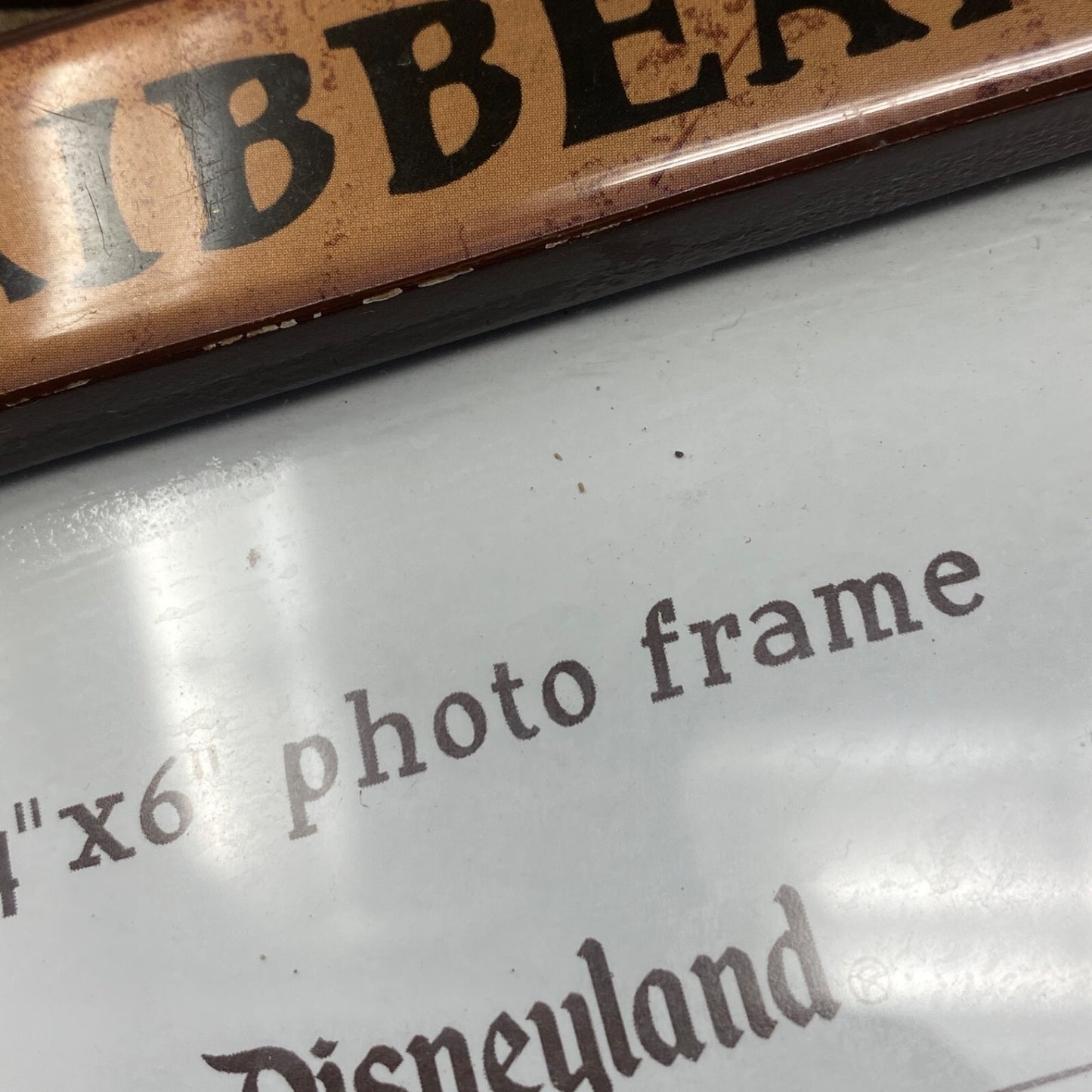 Disney Pirates of the Caribbean 40th Anniversary Photo Frame Amanda Visell 4"x6" - Panic 39