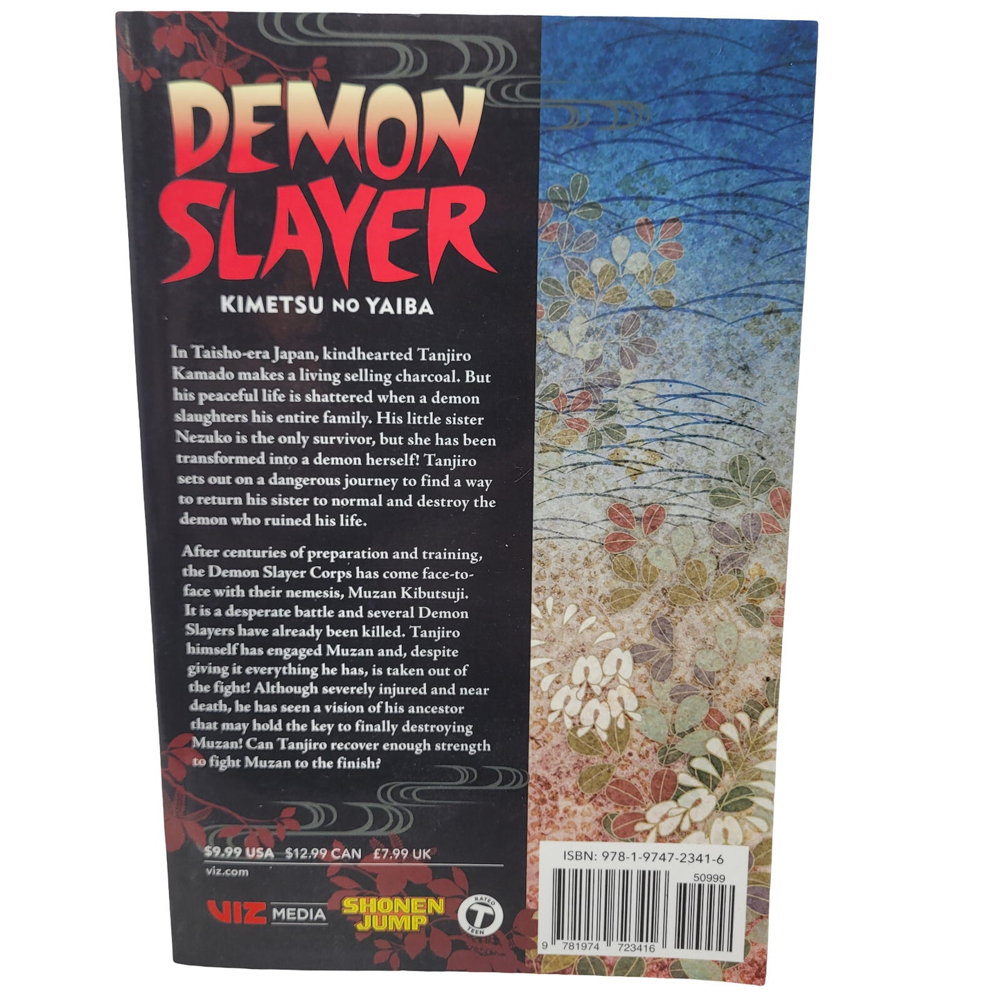 Demon Slayer: Kimetsu no Yaiba, Vol. 22 by Koyoharu Gotouge (English) Paperback
