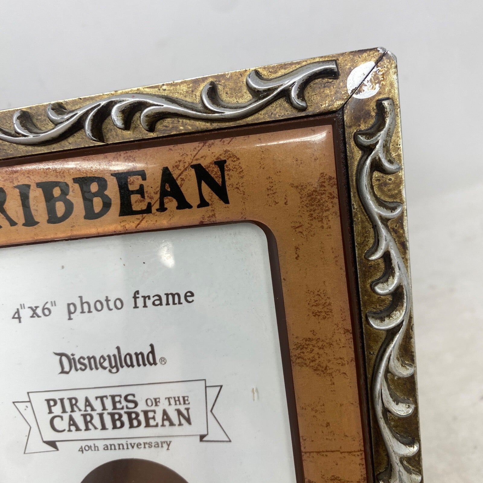 Disney Pirates of the Caribbean 40th Anniversary Photo Frame Amanda Visell 4"x6" - Panic 39