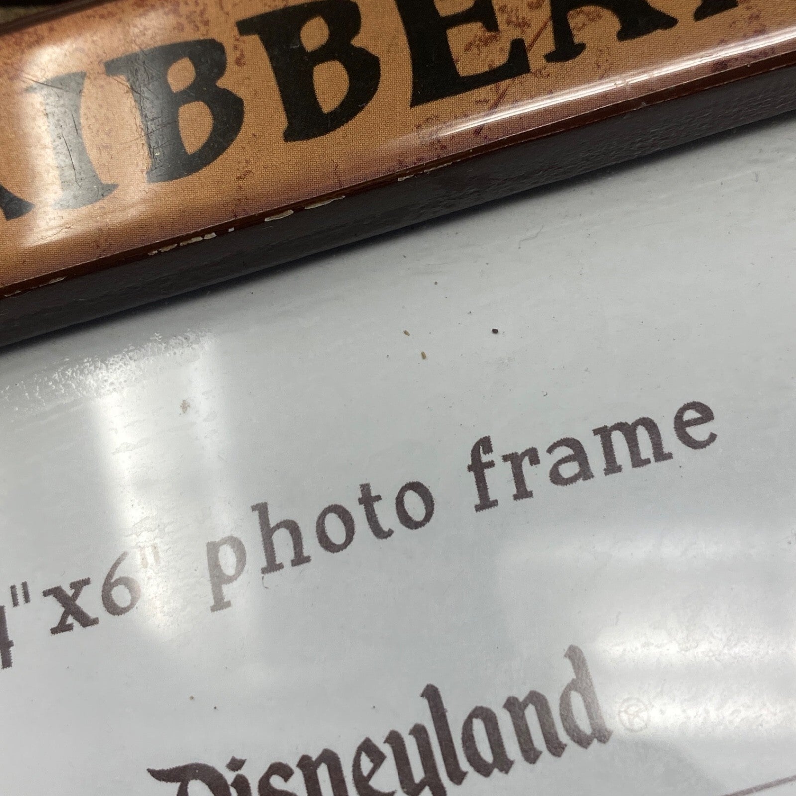 Disney Pirates of the Caribbean 40th Anniversary Photo Frame Amanda Visell 4"x6" - Panic 39